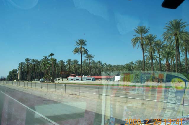 1000 Palms at Bermuda Dunes, California.