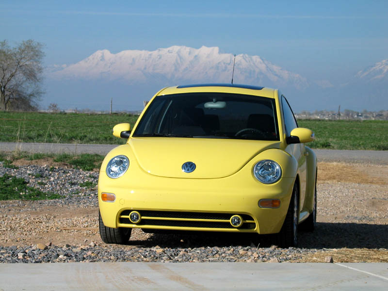 NewBeetle2a.jpg